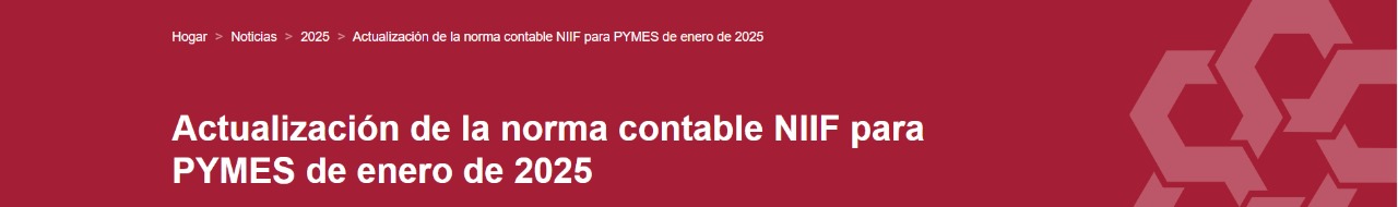 Actualizaciones de las NIIF para 2025